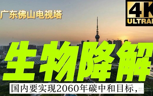 生物降解检测———2060年碳中和目标生物降解塑料制品塑料环保袋检测一次性降解餐具有机检测土壤堆肥佛山市陶瓷研究所检测有限公司