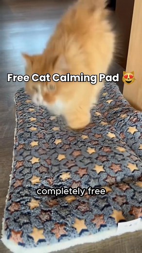 Cold floors or restless naps? This cozy Calming Pad gives your cat a warm, comfortable spot they actually want to sleep on — and it’s FREE today. | Aqua-Cats-USA