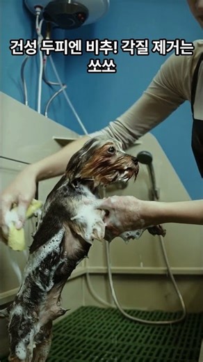 케라시스 두피 비듬케어 딥클린 쿨링 단백질 샴푸 l #쿠팡꿀템 l #쿠팡핫템 l #2026