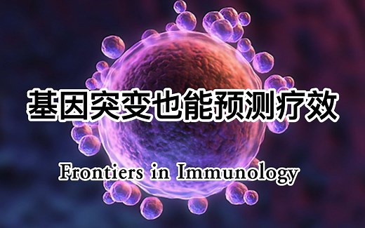 8 SCI生信文章案例分享（Frontiers in Immunology） | 基因突变与tumor免疫治疗疗效之间的关系