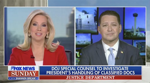 Texas GOP Congressman Speculates Kamala Harris Might Have Classified Docs ‘Sitting on Her Kitchen Ta ...