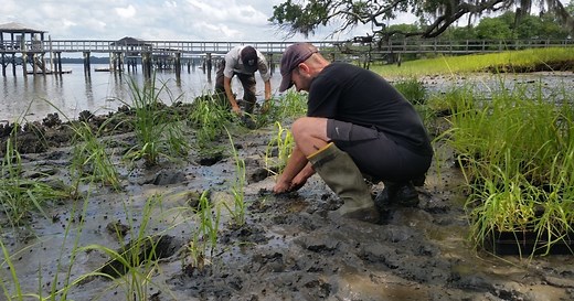 What Can We Do? | Sea Level 101 – U.S. Sea Level Change