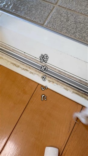 諦めるのはまだ早い。🧹お掃除の朝活詳細は概要欄へ👇