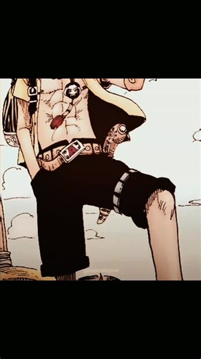 The Quality.... 🥀 #ace #portgasdace #aceedit #acewife #onepiece