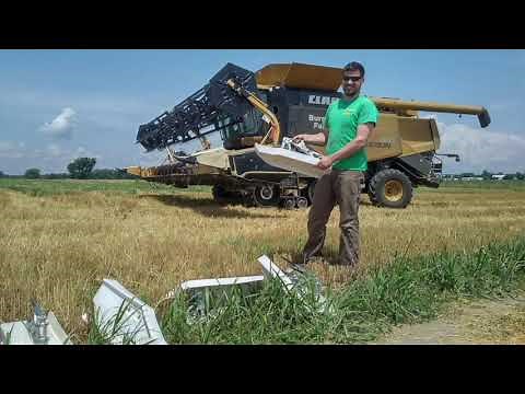 Soil School: Relay cropping for healthy soils and profitability