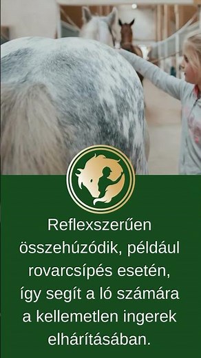 A lovak beépített rovarriasztója