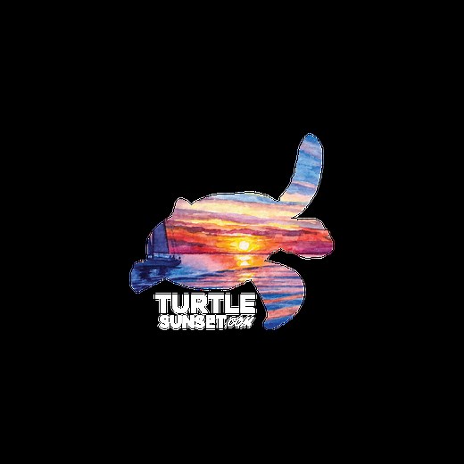 Turtle Sunset SOUTH | Vanderbilt Beach Webcam | Naples, Florida