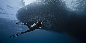 The Top 9 Scuba Diving Destinations in June