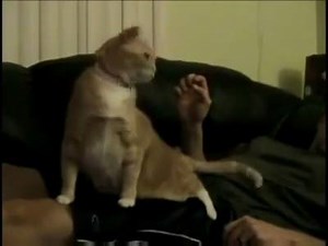 3K views · 148 reactions | The Greatest Scratch of All-Time <3 <3 | ART 4 Health | Facebook