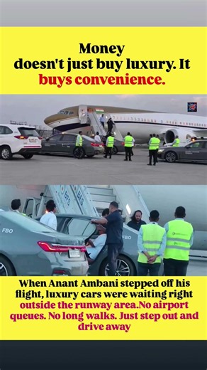 The Setting: The vehicles and ground handling staff are managed by Bird Flight Services (BFS) at a