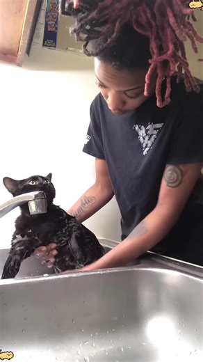 Funny Cat Bath Moments