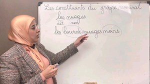 Le groupe nominal est constitué d'éléments obligatoires et d'autres qui sont facultatifs. Vous allez tout savoir sur le groupe nominal: | Le français avec Nouma