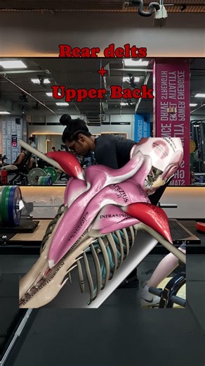 Feb 22, 2026 |PULL (Back + Rear Delts + Biceps + Abs) Workout | #desigenetics #workout #fitness