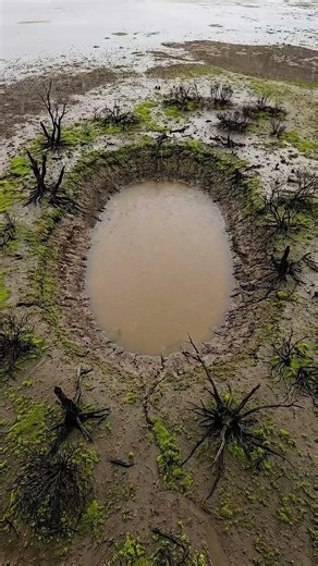 I wish humans could heal just like nature does 🍃💔