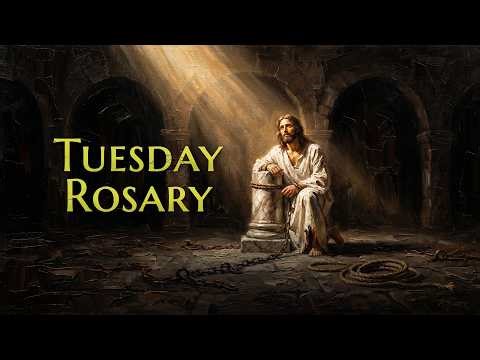 Tuesday Holy Rosary ❤️ Sorrowful Mysteries, May 05, 2026 ❤️ Guide Us Toward Your Light