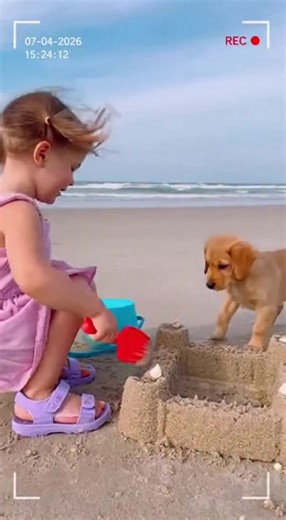 Puppy Mischief at the Beach A playful puppy disrupts a sandcastle, bringing laughter and joy. #fblifestyle #AI Generated using Kling AI . . . (For entertainment purposes only. Consult professionals if guidance on activities is presented. No brand affiliation is implied if any are shown. If inspired by true events, creative adaptations may be included. Content may include public footage.) | Fabiosa Daily