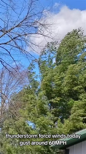 #weathertok #weather #ohio #fyp very windy today | weather