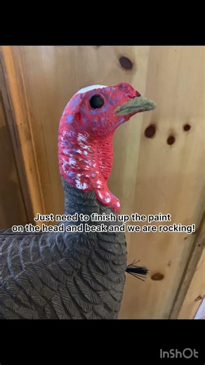DIY turkey hunting decoy upgrade, hen to jake! #turkeyhunting #turkeyhunter #turkeyseason