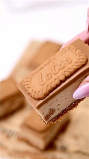 Lotus Biscoff Fudge Candy Bars 🍬🤎 | No-Bake White Chocolate Lotus Dessert