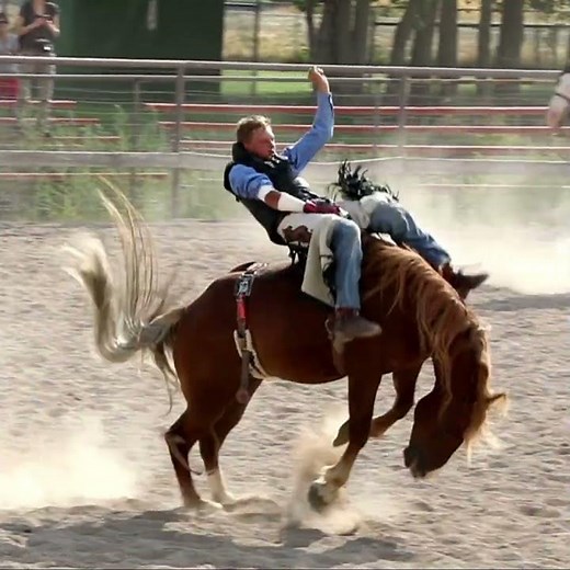 Bronc riding buckaroo #broncriding #rodeo #skills