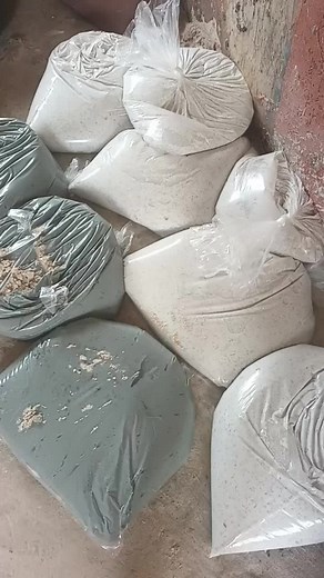 Renew Your Home with Gamazine - Interior & Exterior Wall Coating