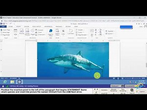 Word Chapter 1 Simulation Exam (Assessment Scenario)