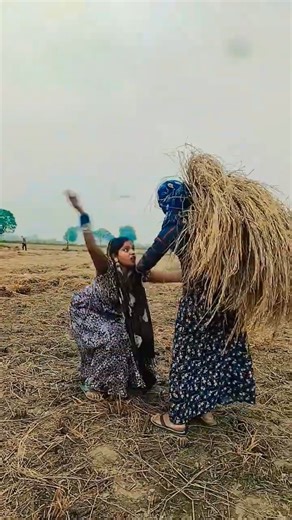 #video | Handsome Hero | Khesari Lal Yadav , Beauty Pandey | Ft. Amisha | Bhojpuri Song 2025