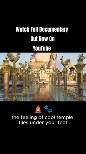 THAILAND 🇹🇭 | FULL FILM OUT NOW Thailand in a few seconds… but the full story is live right now on YouTube. 🇹🇭✨ This is a teaser from my long-form Thailand travel documentary — cinematic moments, real atmosphere, and the kind of details you only notice when you slow down: temples, street scenes, markets, coastlines, and that Thailand energy that stays with you. 🎬 Watch the full documentary on YouTube: 👉 Search “Beyond Realms Thailand Documentary” (or use the link in my bio) If you could bo