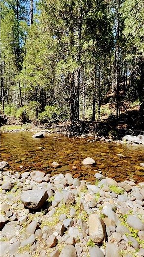 Dispersed Camping by a river at Stanislaus National Forest
