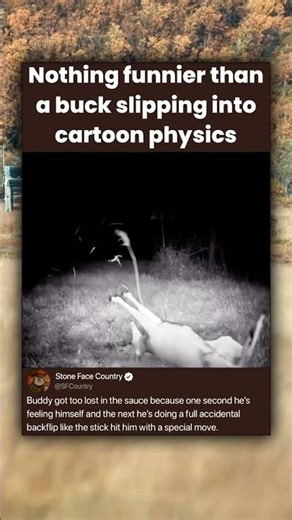 Nothing funnier than a buck slipping into cartoon physics