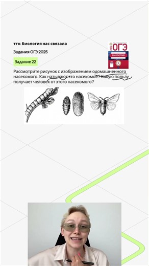 22 Задание | ОГЭ Биология #биологияогэ #урок #еленазеленская #умскул