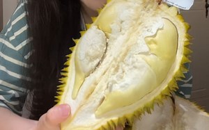 卧室开个清脆榴莲睡觉都香香的～