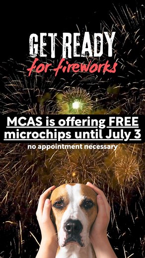 Marion County Animal Services on Reels