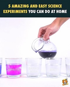 33 reactions | 5 amazing and easy science experiments you can do at home | The Crafty Cat - DIY | Facebook