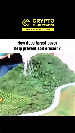 Memes Trivia 🇺🇸 | How Forest Cover Helps Prevent Soil Erosion 🌳🌱Forest cover protects soil in several important ways.Tree roots hold soil particles tightly... | Instagram