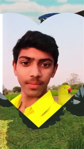 stand New Holland 17🤴🤴