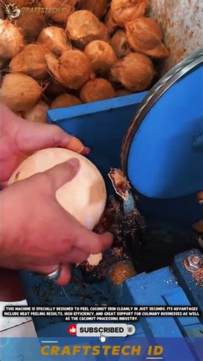 🥥✨ Super Fast Coconut Peeling Machine #innovation #tech #automaticmachine #machine #manufacturing