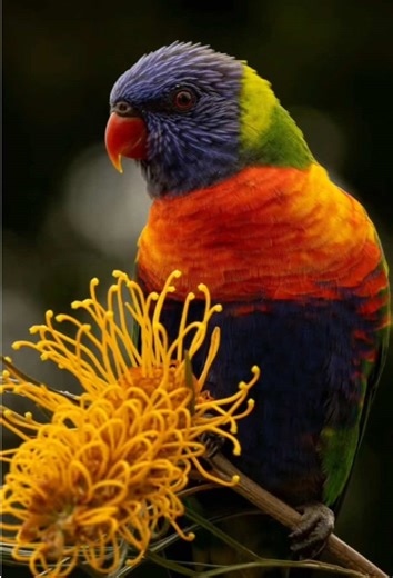 outer mind photography on TikTok