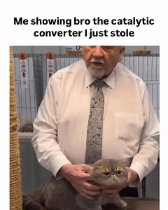 251K views · 1.3K reactions | me showing bro the catalytic converter I just stole | Donut Media | Facebook