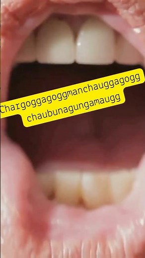 Can you say Chargoggagoggmanchauggagoggchaubunagungamaugg?! The Longest Place Name in the US