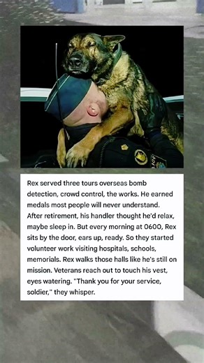 Every morning at 6:00 a.m., Rex sits by the door, ears perked, ready. He never retires #shorts