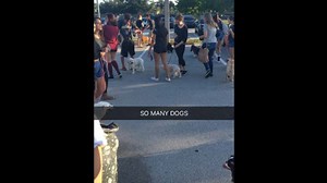 This is the most adorable senior prank ever! | SourceFed