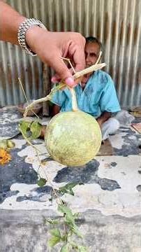 Handmade Bell Fruit Shell Balls | Complete construction process and skills from start to finish😱