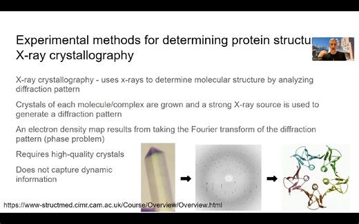 Lecture08 - Intro to protein structure