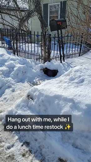 Each item is donated with love for your community and neighbor. We are so grateful for all the support we've been given 🙏 #mutualaid #communitystories #foodpantry