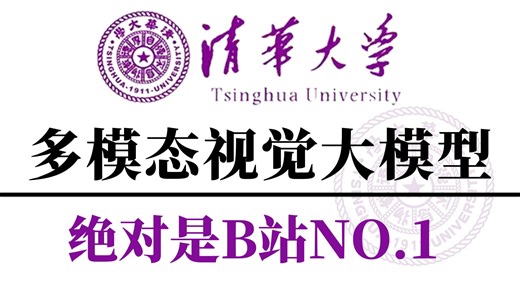 2025吃透AI视觉大模型教程（LLM 多模态 SAM 视觉Prompt CV 学习路线图）通俗易懂，学完即就业!拿走不谢，学不会我退出IT圈！！大模型|多模态