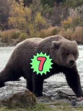 “Los 10 Animales Más Fuertes y Poderosos del Mundo”💪