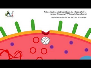 [JCH008] Silver Nanoparticles - An Antibacterial Hero