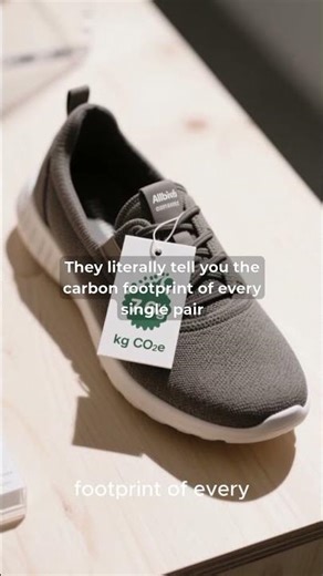 How Allbirds Became Eco-Fashion Giant