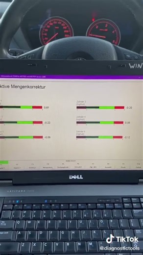Is INPA Still Worth Using in 2025? BMW Diagnostics